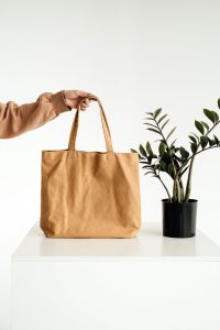 Stylish minimalist canvas tote bag held beside a potted green plant.